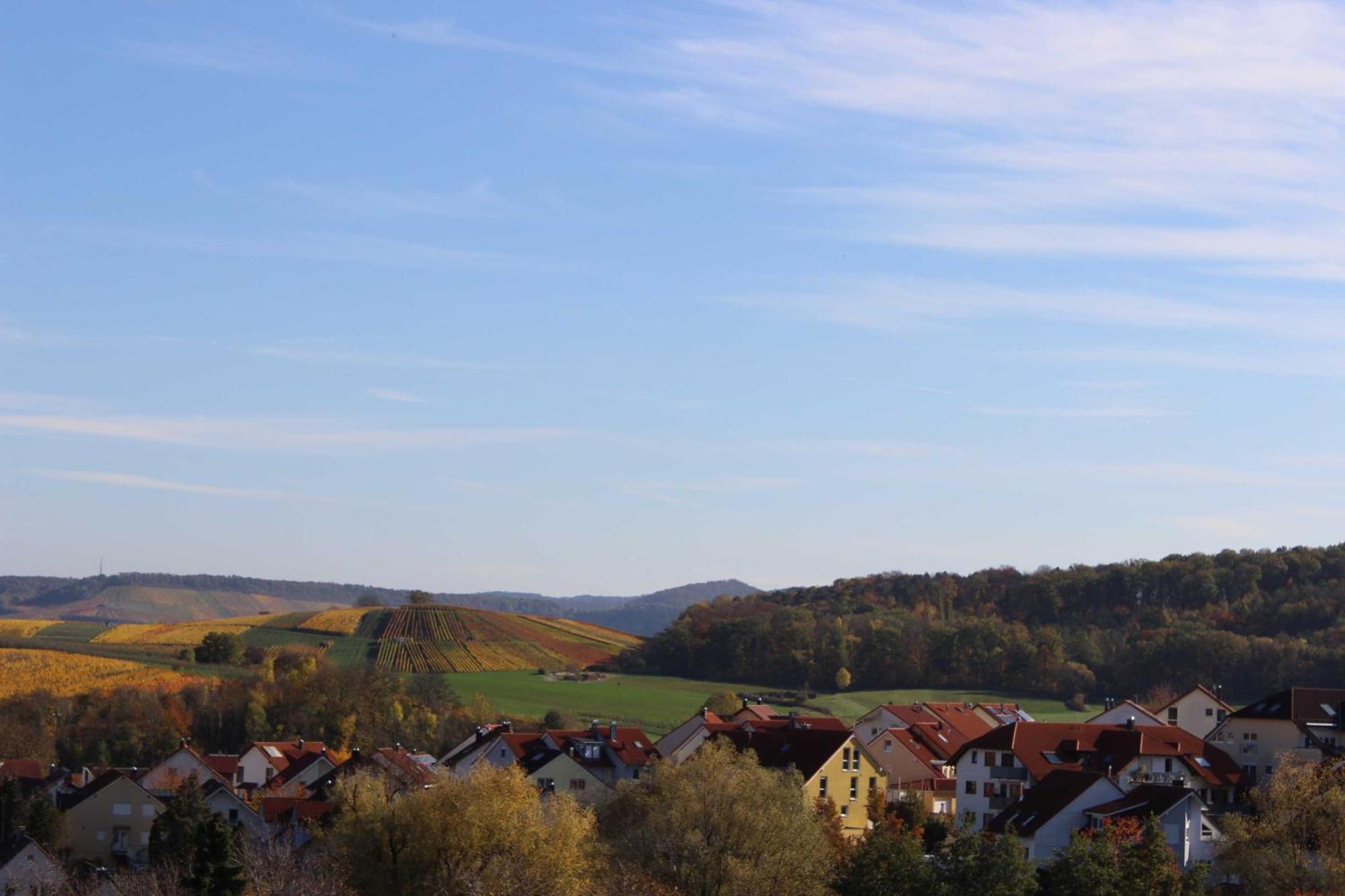 Gaestehaus Zum Wolffenturm Lehrensteinsfeld Camera foto
