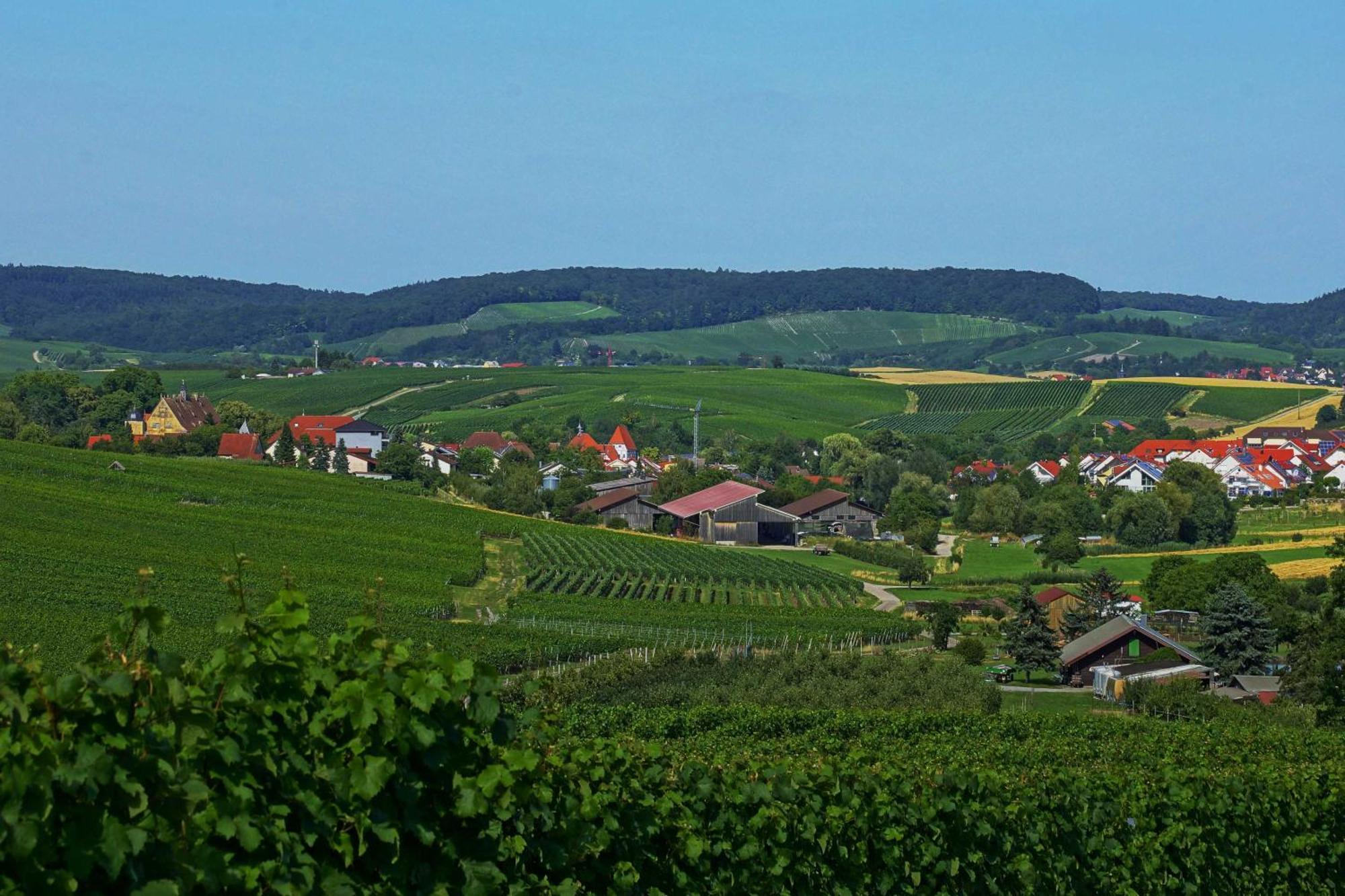 Gaestehaus Zum Wolffenturm Lehrensteinsfeld Esterno foto